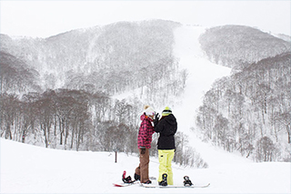 ネコママウンテン