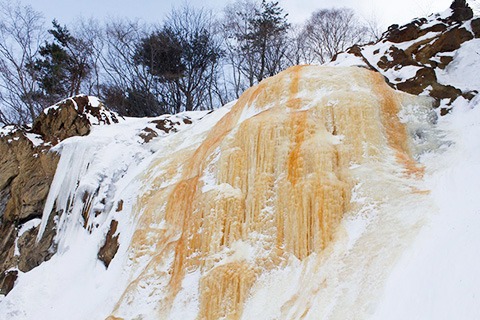 ネイチャースキー